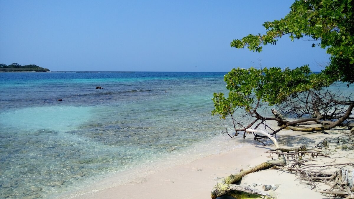 la cienaga
